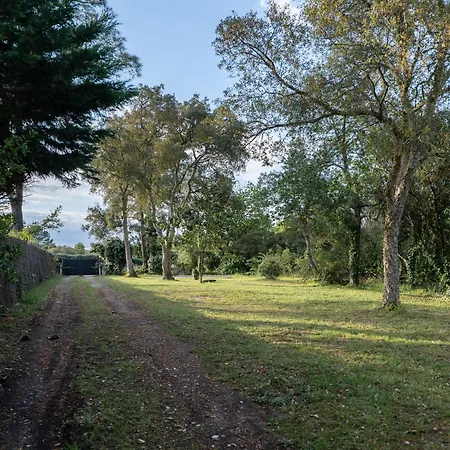 L'accalmie - 10 Pers - Entre Et Seignosse