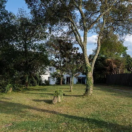 L'accalmie - 10 Pers - Entre Et Seignosse